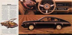 1979 Buick Full Line-20-21.jpg